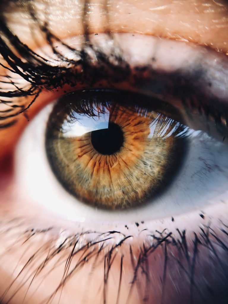 Anulom Vilom' Benefits, Avocado benefits for eyes health