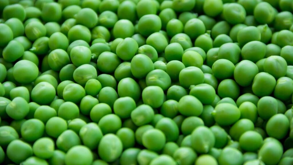 High Protein Food - Green Peas